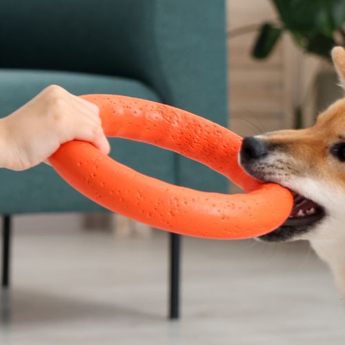 Aro Flexible de Jaloneo