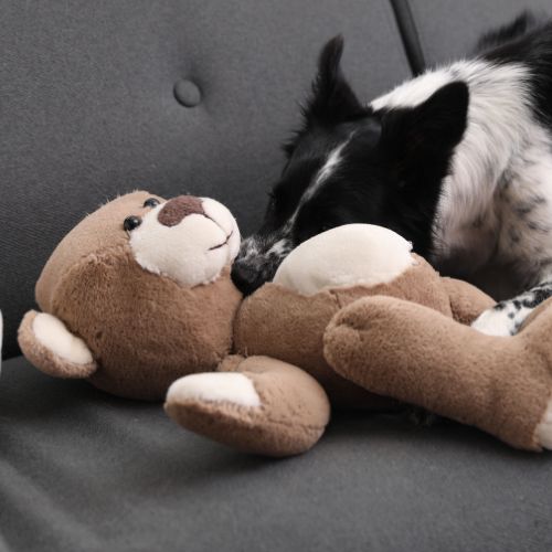 Peluche Clásico para Mascotas