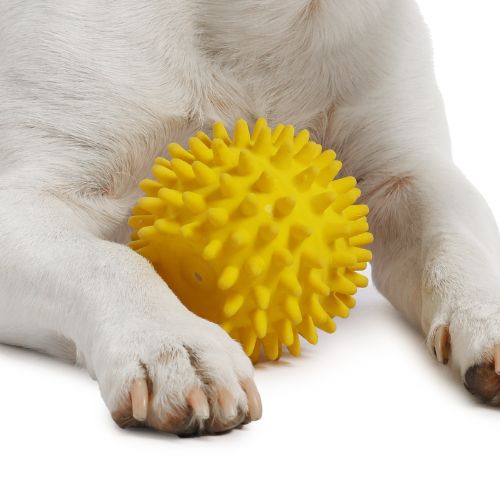 Pelota Dental Texturizada para cachorros