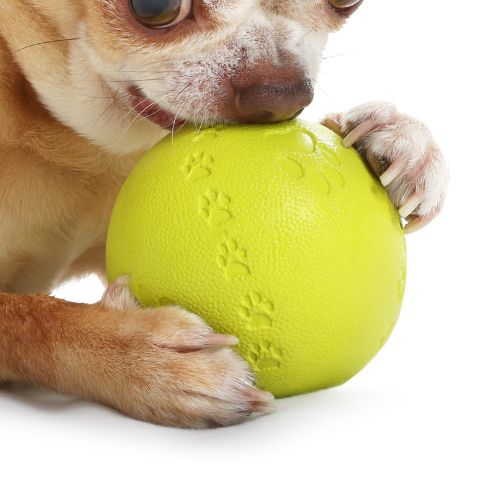 Pelota de Entrenamiento