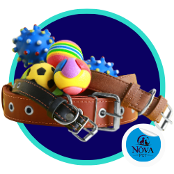 Juguetes para entrenamiento